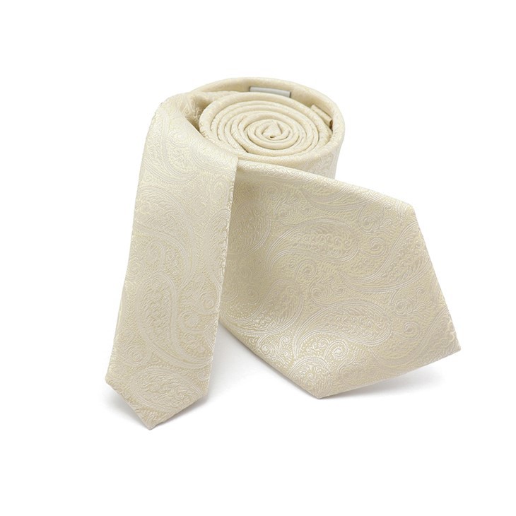 Paisley Pattern Silk Ties